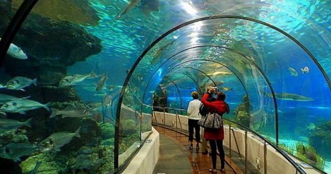 Side zum Antalya Aquarium Tour – Natur, Geschichte & Abenteuer