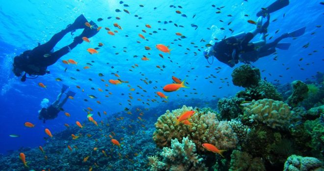 Side Scuba Diving Tour – Unterwassermuseum & Riffe