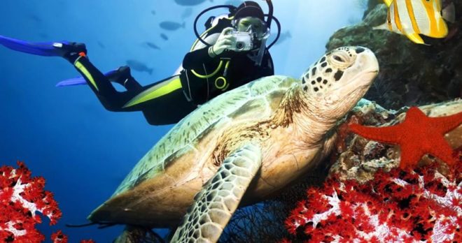 Antalya Tauchtour – Kemer Unterwasserabenteuer