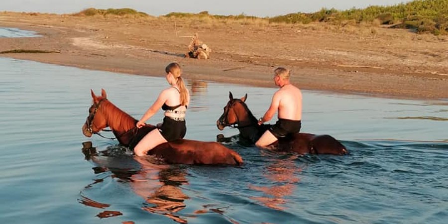 Side VIP Reiten | Strand- & Waldreittour